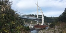 Seogwipo port