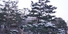 the Suwon castle